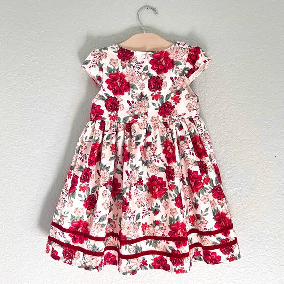Catherine Malandrino Dress Girls 5 Ivory Floral Velvet Holiday Lined Cap Sleeve - Picture 3 of 9